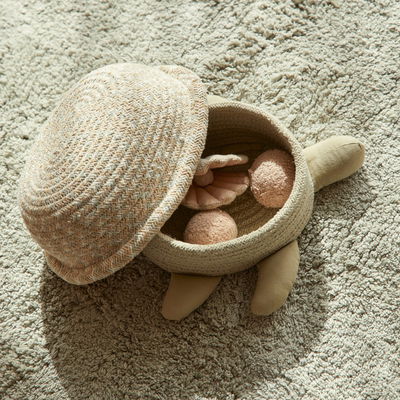 Korb Baby Schildkröte Korb Baby Schildkröte