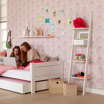 Lifetime Leiterregal  Lifetime Leiterregal