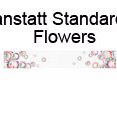 Absturzsicherung Flowers anstatt Standard