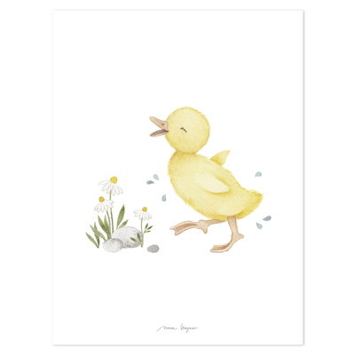 Poster - Little Duck Poster - Little Duck