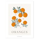 Poster - Orangen (auch mit Rahmen erhältlich)