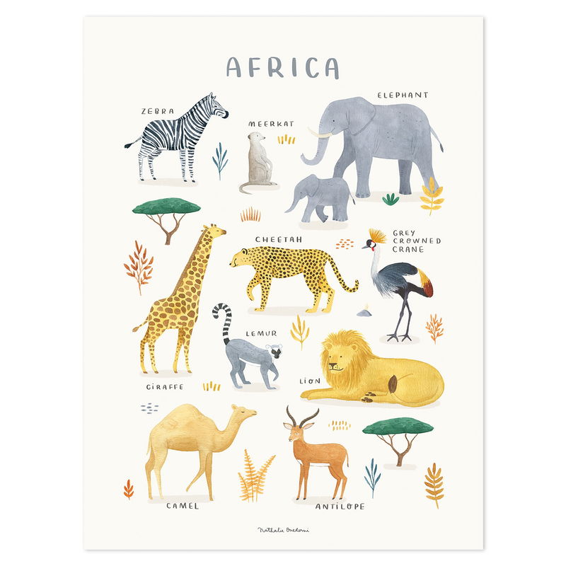 Poster - Tiere aus Afrika Poster - Tiere aus Afrika