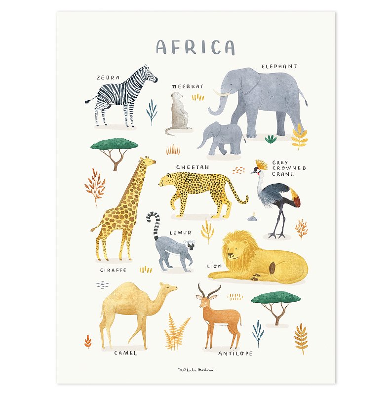 Poster - Tiere aus Afrika