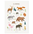 Poster - Tiere aus Europa