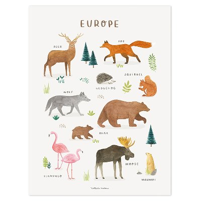 Poster - Tiere aus Europa