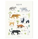 Poster - Tiere aus Asien