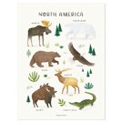 Poster - Tiere aus Nord Amerika