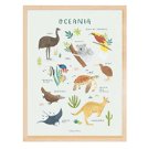 Poster - Tiere aus Ozeanien