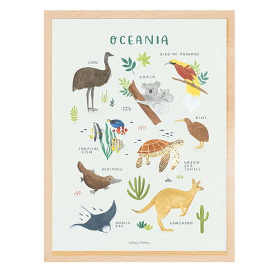 Poster - Tiere aus Ozeanien Poster - Tiere aus Ozeanien