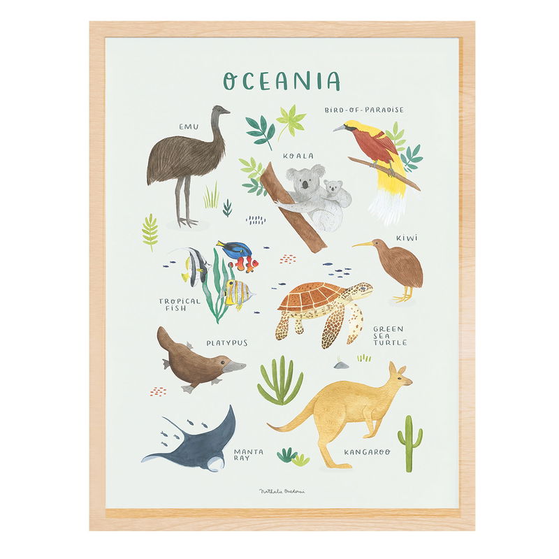 Poster - Tiere aus Ozeanien Poster - Tiere aus Ozeanien