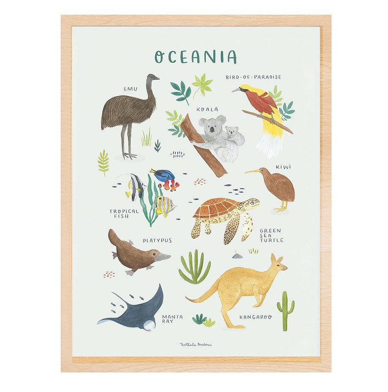 Poster - Tiere aus Ozeanien