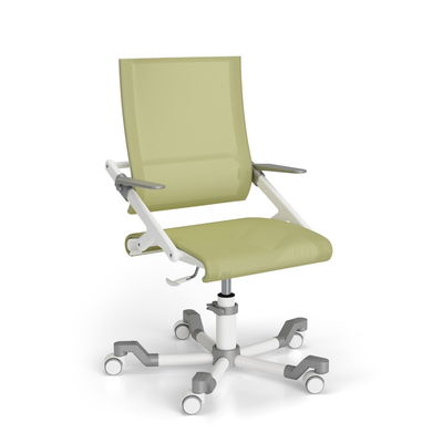 Paidi Ypso Schreibtischstuhl Grün höhenverstellbar | Ergonomie & Design Paidi Ypso Schreibtischstuhl Grün höhenverstellbar | Ergonomie & Design