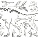 Wandsticker - T-Rex