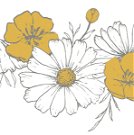 Wandsticker - Flowers Braid (Chamomile)