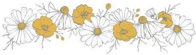 Wandsticker - Flowers Braid (Chamomile) Wandsticker - Flowers Braid (Chamomile)