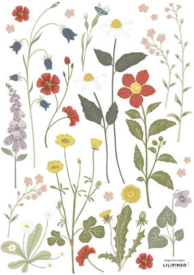 Wandsticker - Wildflowers, Buttercup & Dandellion Wandsticker - Wildflowers, Buttercup & Dandellion