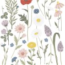 Wandsticker - Wildflowers, Cornflower & Poppy