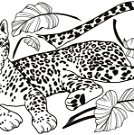 Wandsticker - Leopard