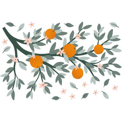 Wandsticker - Orangenzweig Wandsticker - Orangenzweig