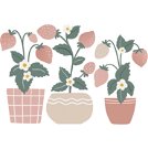 Wandsticker - Erdbeerpflanzen