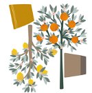 Wandsticker - Zitronen- & Orangenbaum
