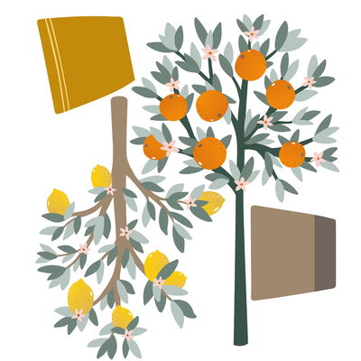 Wandsticker - Zitronen- & Orangenbaum Wandsticker - Zitronen- & Orangenbaum
