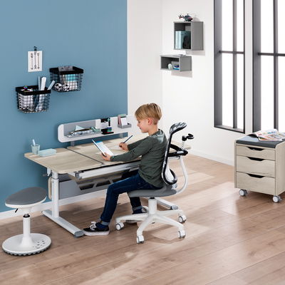 Paidi Schreibtisch Diego GT in B 130 cm, Eiche-Nautik Paidi Schreibtisch Diego GT in B 130 cm, Eiche-Nautik